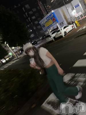 ʥå륺СVeronica-˥-(˥) ꤫913̥֥֤路