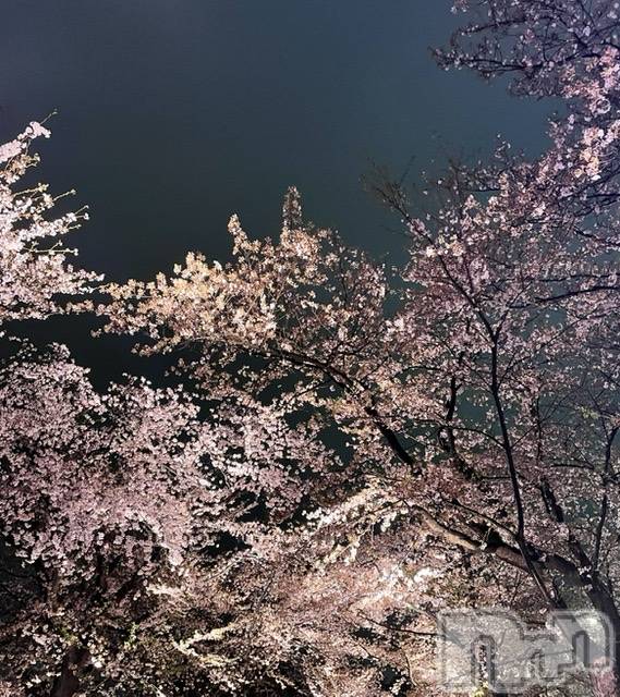 Įʥå륺СGIRLS BAR Fable(륺Сե֥) 2022ǯ415̥֥🌸🌸🌸