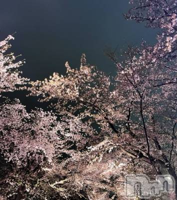 Įʥå륺СGIRLS BAR Fable(륺Сե֥) 415̥֥🌸🌸🌸