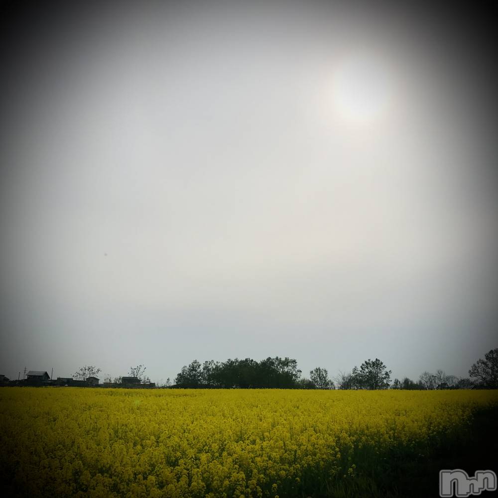 新潟デリヘル五十路マダム新潟店(カサブランカグループ)(イソジマダムニイガタテン) 浅見怜(49)の4月23日写メブログ「直近の出勤予定だょぉ☆」