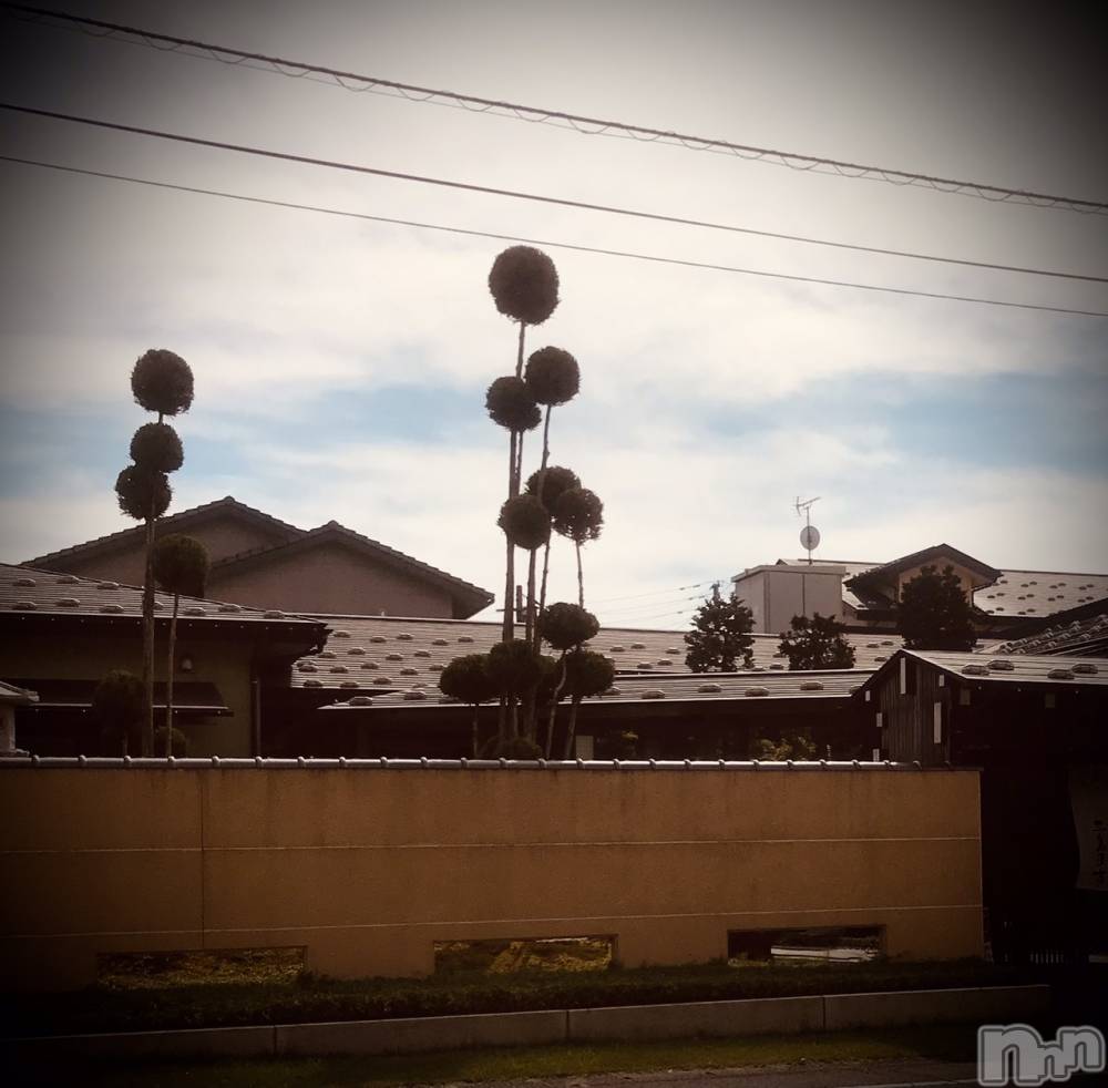 新潟デリヘル五十路マダム新潟店(カサブランカグループ)(イソジマダムニイガタテン) 浅見怜(49)の9月26日写メブログ「直近の出勤予定でぇす♪」