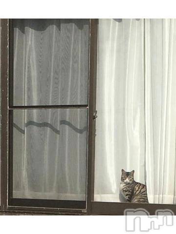 新潟デリヘル五十路マダム新潟店(カサブランカグループ)(イソジマダムニイガタテン) 浅見怜(49)の11月9日写メブログ「ねこ。」