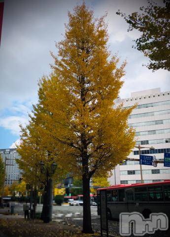 新潟デリヘル五十路マダム新潟店(カサブランカグループ)(イソジマダムニイガタテン) 浅見怜(49)の11月11日写メブログ「独身の日だって。。」