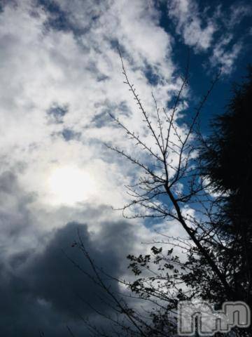 新潟デリヘル五十路マダム新潟店(カサブランカグループ)(イソジマダムニイガタテン) 浅見怜(49)の11月15日写メブログ「結局。。」