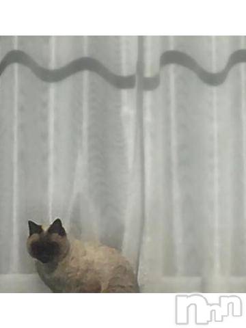 新潟デリヘル五十路マダム新潟店(カサブランカグループ)(イソジマダムニイガタテン) 浅見怜(49)の11月20日写メブログ「[お題]from:メイドで変態2さん」