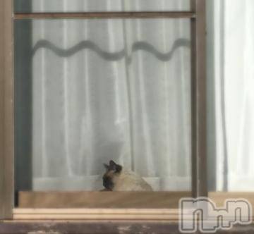 新潟デリヘル五十路マダム新潟店(カサブランカグループ)(イソジマダムニイガタテン) 浅見怜(49)の11月21日写メブログ「わぁん。。(;_;)」