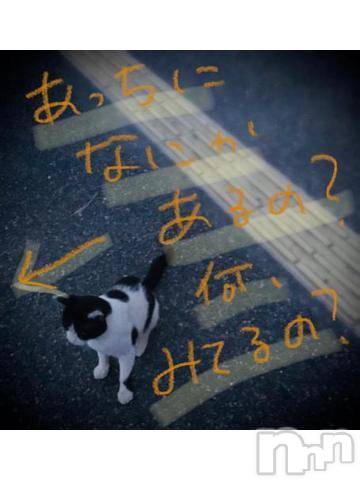 新潟デリヘル五十路マダム新潟店(カサブランカグループ)(イソジマダムニイガタテン) 浅見怜(49)の11月22日写メブログ「[お題]from:LULUさん」