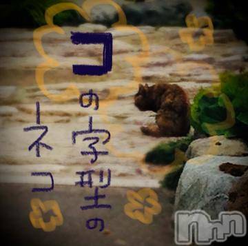 新潟デリヘル五十路マダム新潟店(カサブランカグループ)(イソジマダムニイガタテン) 浅見怜(49)の11月27日写メブログ「[お題]from:玉たま玉たまさん」