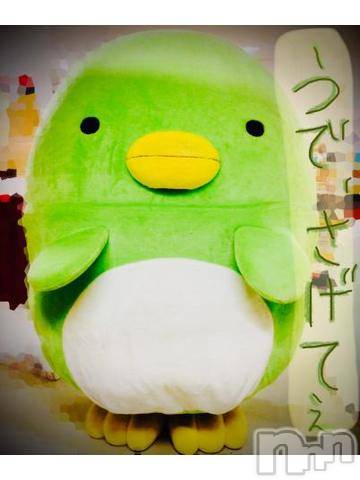 新潟デリヘル五十路マダム新潟店(カサブランカグループ)(イソジマダムニイガタテン) 浅見怜(49)の11月27日写メブログ「すみっコ！」