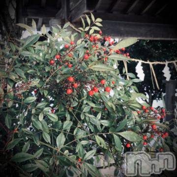 新潟デリヘル五十路マダム新潟店(カサブランカグループ)(イソジマダムニイガタテン) 浅見怜(49)の1月15日写メブログ「[お題]お正月ぅfrom:変態パンストPちゃんさん」