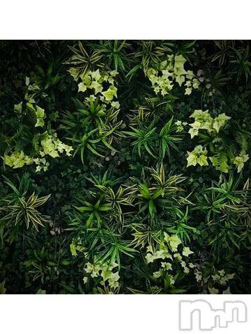 新潟デリヘル五十路マダム新潟店(カサブランカグループ)(イソジマダムニイガタテン) 浅見怜(49)の2月12日写メブログ「[お題]『美』意識☆from:yamato103さん」