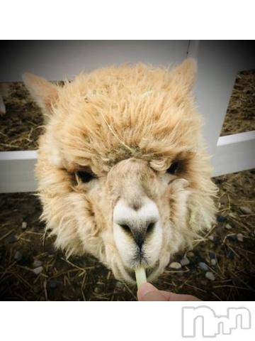 新潟デリヘル五十路マダム新潟店(カサブランカグループ)(イソジマダムニイガタテン) 浅見怜(49)の3月8日写メブログ「ぉぁぁぁぁ。。。」