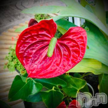 新潟デリヘル五十路マダム新潟店(カサブランカグループ)(イソジマダムニイガタテン) 浅見怜(49)の3月12日写メブログ「[お題]クチコミ。。from:ブー×2さん」