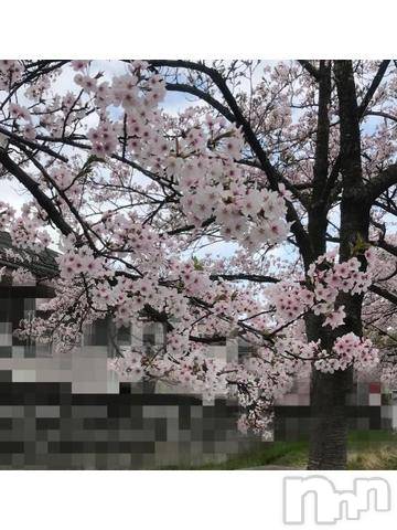 新潟デリヘル五十路マダム新潟店(カサブランカグループ)(イソジマダムニイガタテン) 浅見怜(49)の4月14日写メブログ「[お題]幸せ☆from:武ちゃんさん」