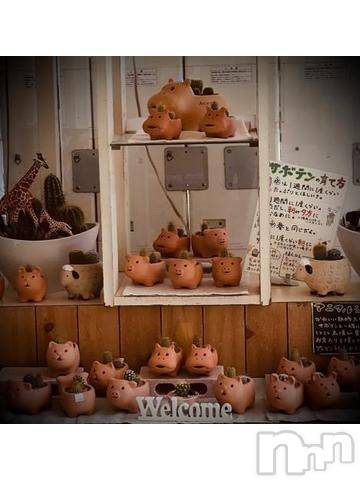 新潟デリヘル五十路マダム新潟店(カサブランカグループ)(イソジマダムニイガタテン) 浅見怜(49)の5月6日写メブログ「やっぱり、欲しかったなぁ。。」