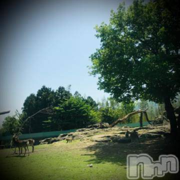 新潟デリヘル五十路マダム新潟店(カサブランカグループ)(イソジマダムニイガタテン) 浅見怜(49)の5月7日写メブログ「[お題]オススメ？from:末広蝶さん」