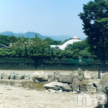 新潟デリヘル五十路マダム新潟店(カサブランカグループ)(イソジマダムニイガタテン) 浅見怜(49)の5月10日写メブログ「アハ体験？！」