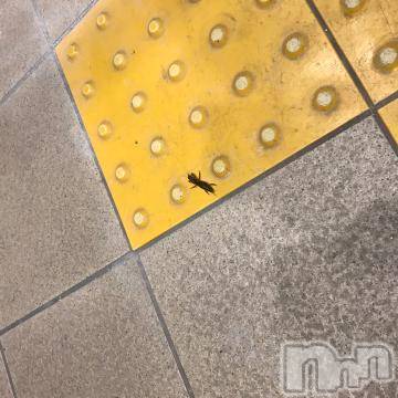 新潟デリヘル五十路マダム新潟店(カサブランカグループ)(イソジマダムニイガタテン) 浅見怜(49)の5月15日写メブログ「オケラいたぁ。。」