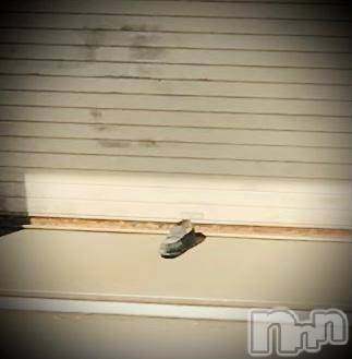 新潟デリヘル五十路マダム新潟店(カサブランカグループ)(イソジマダムニイガタテン) 浅見怜(49)の5月26日写メブログ「今日の、お靴様☆」