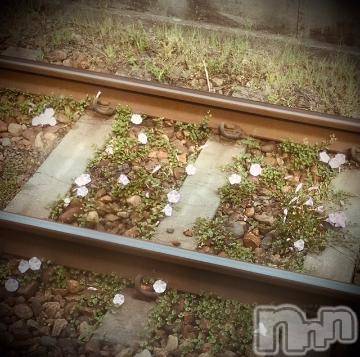 新潟デリヘル五十路マダム新潟店(カサブランカグループ)(イソジマダムニイガタテン) 浅見怜(49)の5月30日写メブログ「出発ぅぅ☆」