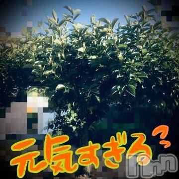 新潟デリヘル五十路マダム新潟店(カサブランカグループ)(イソジマダムニイガタテン) 浅見怜(49)の7月11日写メブログ「柿の木。。」