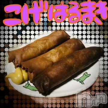 新潟デリヘル五十路マダム新潟店(カサブランカグループ)(イソジマダムニイガタテン) 浅見怜(49)の7月20日写メブログ「こんばんはにゃぁん☆」