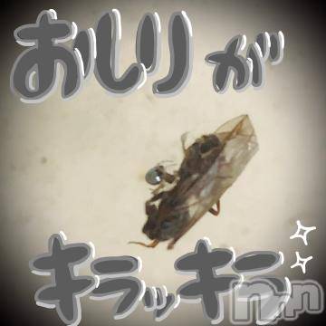 新潟デリヘル五十路マダム新潟店(カサブランカグループ)(イソジマダムニイガタテン) 浅見怜(49)の7月25日写メブログ「シルバー？！」