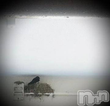 新潟デリヘル五十路マダム新潟店(カサブランカグループ)(イソジマダムニイガタテン) 浅見怜(49)の7月28日写メブログ「ものがたりVol.６☆」