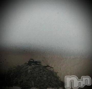 新潟デリヘル五十路マダム新潟店(カサブランカグループ)(イソジマダムニイガタテン) 浅見怜(49)の7月28日写メブログ「ものがたりVol.７☆」