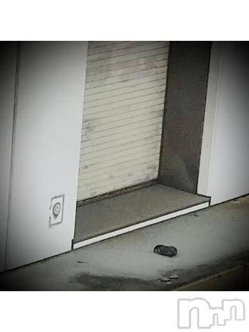 新潟デリヘル五十路マダム新潟店(カサブランカグループ)(イソジマダムニイガタテン) 浅見怜(49)の8月14日写メブログ「動いた！！」