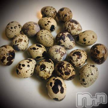 新潟デリヘル五十路マダム新潟店(カサブランカグループ)(イソジマダムニイガタテン) 浅見怜(49)の9月10日写メブログ「なんでショーか？」