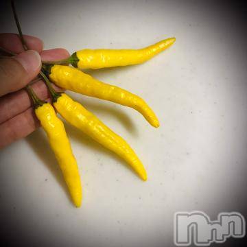 新潟デリヘル五十路マダム新潟店(カサブランカグループ)(イソジマダムニイガタテン) 浅見怜(49)の9月15日写メブログ「見てみてぇ♪」