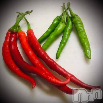 新潟デリヘル五十路マダム新潟店(カサブランカグループ)(イソジマダムニイガタテン) 浅見怜(49)の9月15日写メブログ「オーソドックス☆」