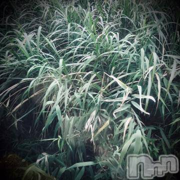 新潟デリヘル五十路マダム新潟店(カサブランカグループ)(イソジマダムニイガタテン) 浅見怜(49)の9月16日写メブログ「迷子。。」