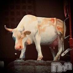 新潟デリヘル五十路マダム新潟店(カサブランカグループ)(イソジマダムニイガタテン) 浅見怜(49)の10月24日写メブログ「超絶！！」