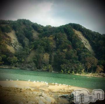 新潟デリヘル五十路マダム新潟店(カサブランカグループ)(イソジマダムニイガタテン) 浅見怜(49)の11月8日写メブログ「白ぃモノ。。」