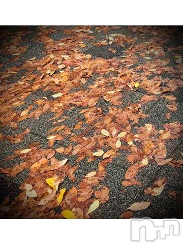 新潟デリヘル五十路マダム新潟店(カサブランカグループ)(イソジマダムニイガタテン) 浅見怜(49)の11月14日写メブログ「なんとか探し☆」