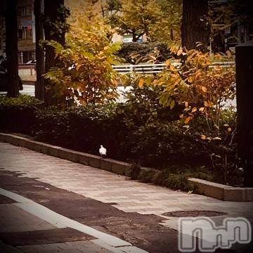 新潟デリヘル五十路マダム新潟店(カサブランカグループ)(イソジマダムニイガタテン) 浅見怜(49)の12月5日写メブログ「シロハト☆」