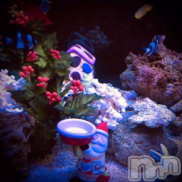 新潟デリヘル五十路マダム新潟店(カサブランカグループ)(イソジマダムニイガタテン) 浅見怜(49)の12月26日写メブログ「いつまでかなぁ？」