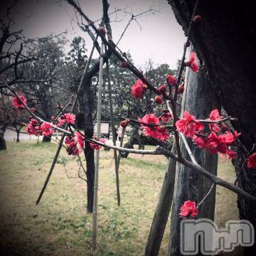 新潟デリヘル五十路マダム新潟店(カサブランカグループ)(イソジマダムニイガタテン) 浅見怜(49)の3月3日写メブログ「開花☆」