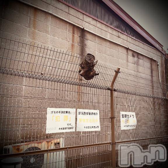 新潟デリヘル五十路マダム新潟店(カサブランカグループ)(イソジマダムニイガタテン) 浅見怜(49)の2月23日写メブログ「裏みち。。」