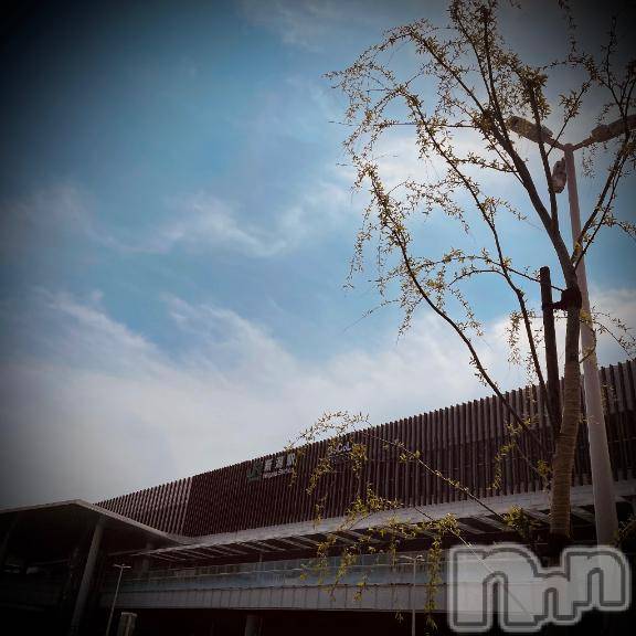 新潟デリヘル五十路マダム新潟店(カサブランカグループ)(イソジマダムニイガタテン) 浅見怜(49)の4月20日写メブログ「[お題]妻かと思った→→from:麦さん」