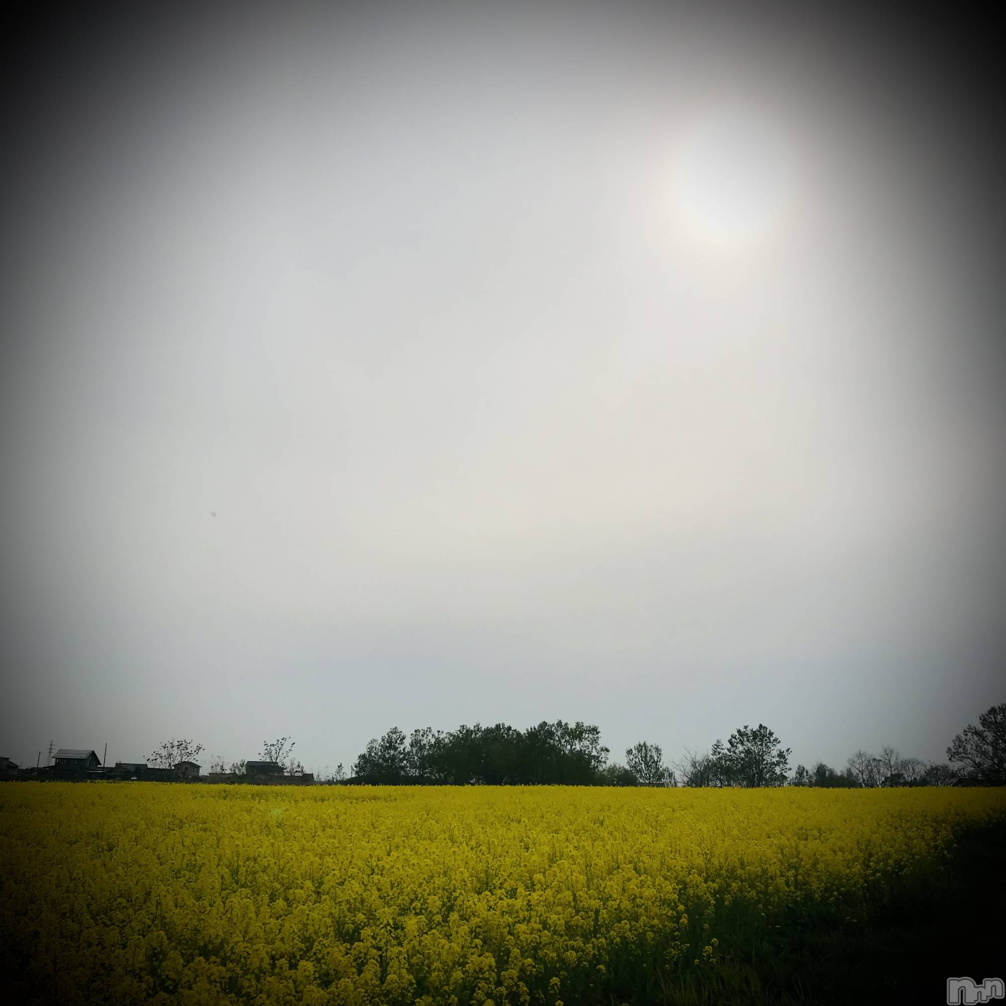 新潟デリヘル五十路マダム新潟店(カサブランカグループ)(イソジマダムニイガタテン)浅見怜(49)の2022年4月23日写メブログ「直近の出勤予定だょぉ☆」