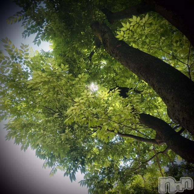 新潟デリヘル五十路マダム新潟店(カサブランカグループ)(イソジマダムニイガタテン)浅見怜(49)の2022年5月23日写メブログ「あちゅぃじゃん！！」