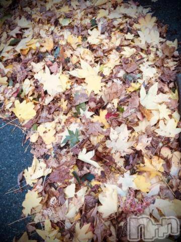 新潟デリヘル五十路マダム新潟店(カサブランカグループ)(イソジマダムニイガタテン)浅見怜(49)の2021年11月13日写メブログ「[お題]from:メイドで変態2さん」