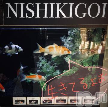 新潟デリヘル五十路マダム新潟店(カサブランカグループ)(イソジマダムニイガタテン)浅見怜(49)の2021年11月13日写メブログ「ぴっちぴちぃv」