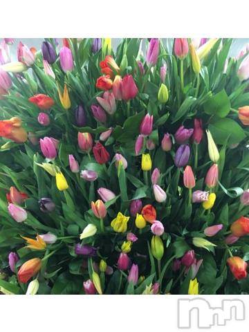 新潟デリヘル五十路マダム新潟店(カサブランカグループ)(イソジマダムニイガタテン)浅見怜(49)の2021年11月22日写メブログ「[お題]from:プーさん林家さん」