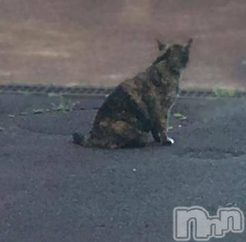 新潟デリヘル五十路マダム新潟店(カサブランカグループ)(イソジマダムニイガタテン)浅見怜(49)の2021年11月23日写メブログ「雨、かぜ、雷。。。」