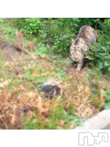 新潟デリヘル五十路マダム新潟店(カサブランカグループ)(イソジマダムニイガタテン)浅見怜(49)の2021年11月23日写メブログ「たちゅけてぇ。。」