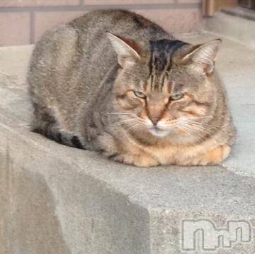 新潟デリヘル五十路マダム新潟店(カサブランカグループ)(イソジマダムニイガタテン)浅見怜(49)の2021年11月23日写メブログ「ぷぃーー。」